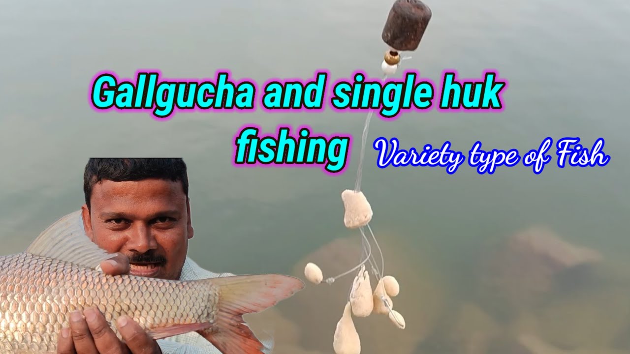 Gallgucha and single huk fishing//Variety type of fish catching