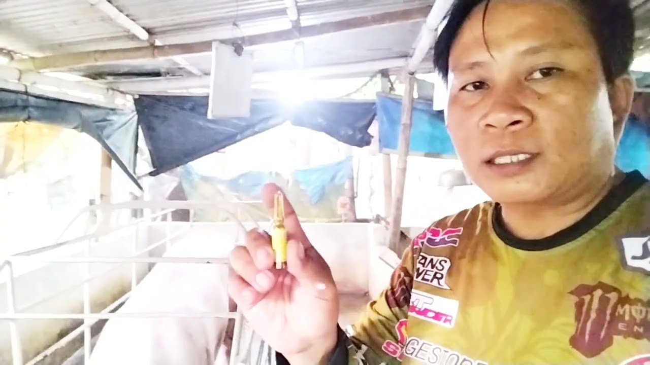 Update sa aking inahin..tinurukan ko ng Gonadin para maglandi agad