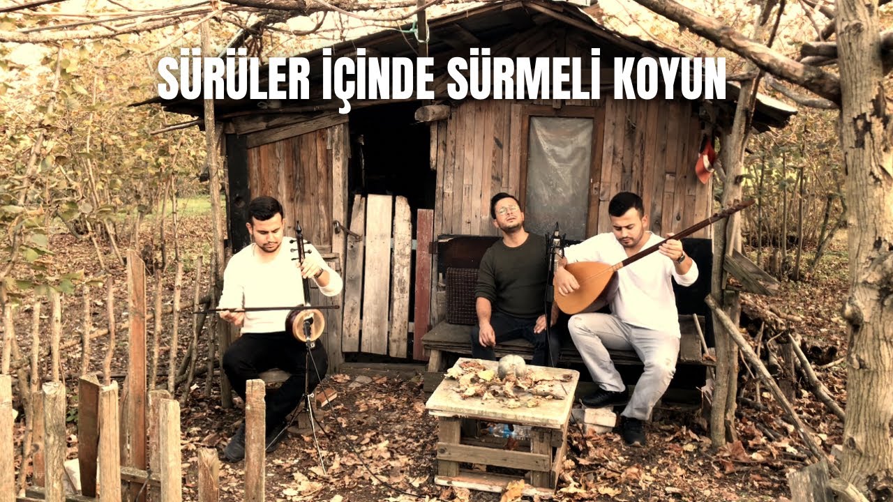 ALPLER - SÜRÜLER İÇİNDE SÜRMELİ KOYUN