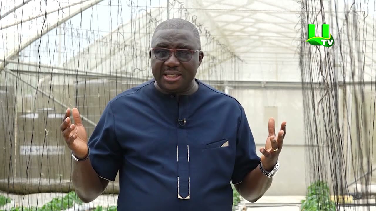 AYEKOO: Deepening Greenhouse Technology In Ghana