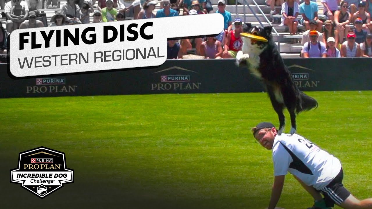 Incredible Dog Challenge: Freestyle Flying Disc Western Regional | NBC Sports
