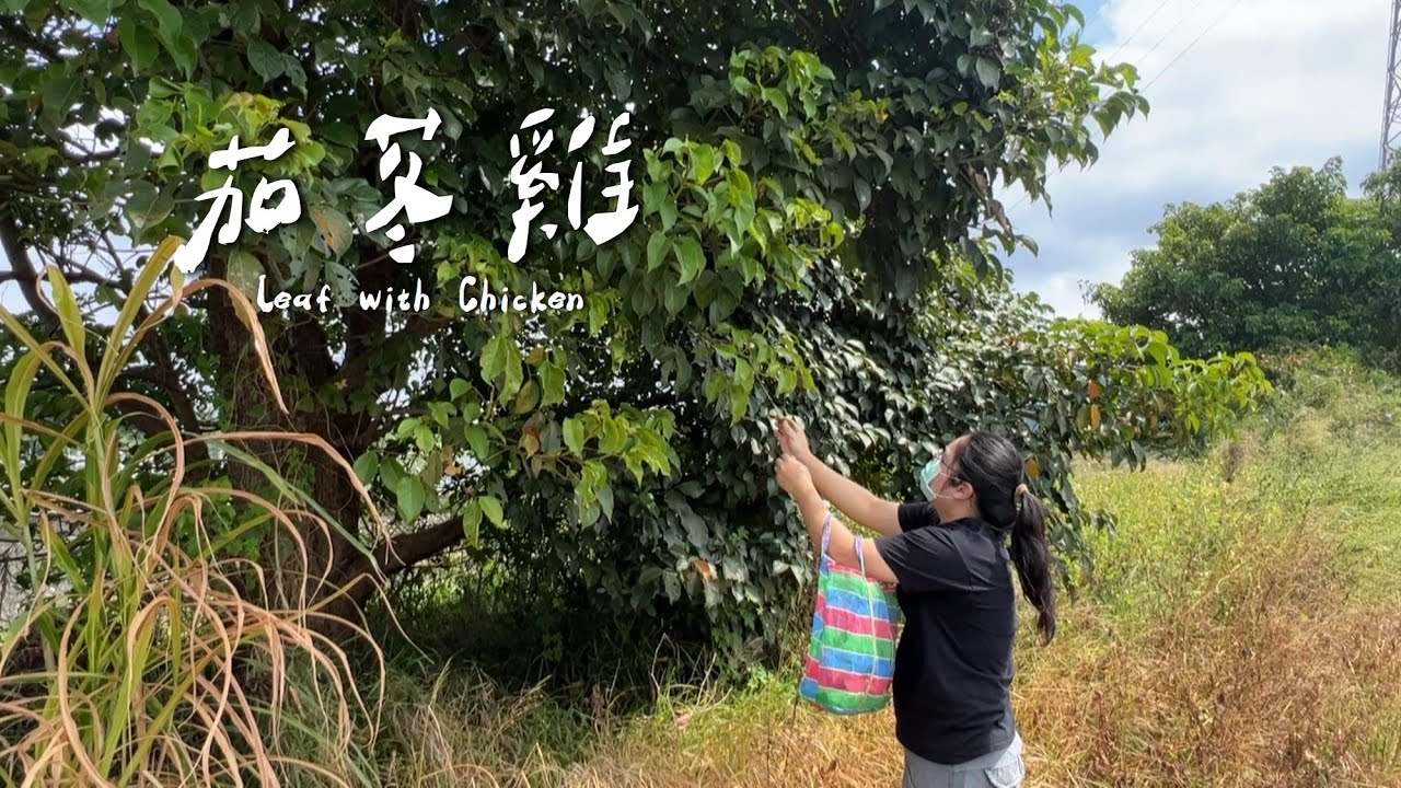 鹽封茄苳雞 — 路邊採茄苳葉做茄苳雞！滿滿茄苳葉的香氣｜Homemade  ｜ countryside life ｜ Salt Crusted Baked Chicken  【刻夢kedream】