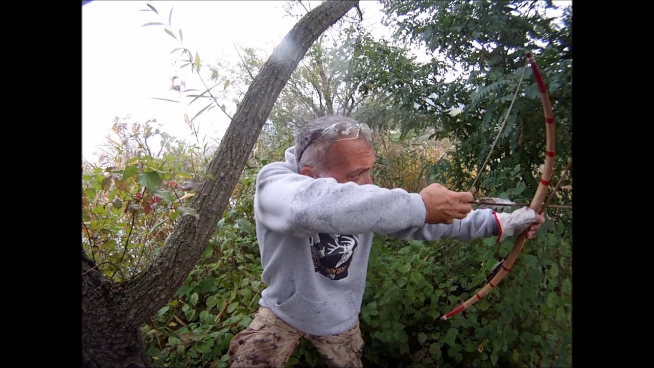 CACCIA CON L'ARCO   Arco corto 40 lbs