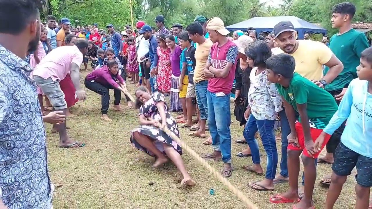 Women Copper pulling competition කාන්තා කඹ ඇදීමේ තරඟය New Year's Games New Year celebration ගල්පොල