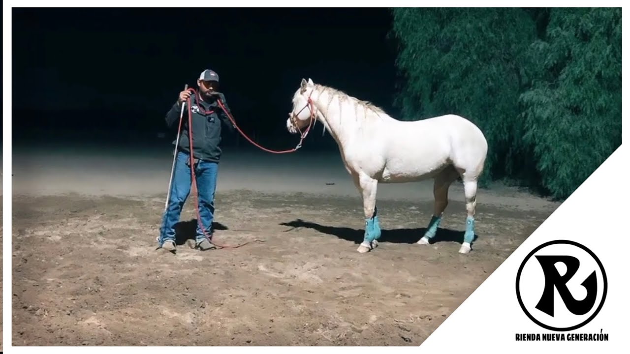 Trabajo pie a tierra en Vivo