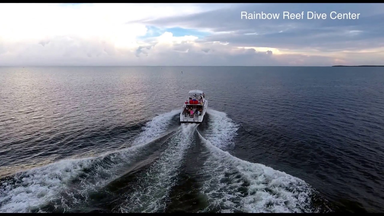 Night Dive with Rainbow Reef Dive Center Key Largo FL