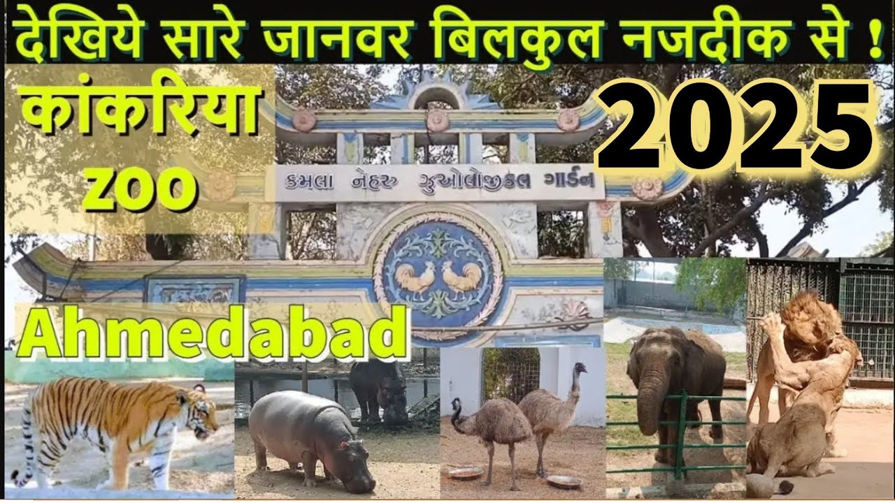 Kankaria Zoo Ahmedabad 2025 | કાંકરિયા પ્રાણીસંગ્રહાલય | अहमदाबाद के चिड़ियाघर की Documentary
