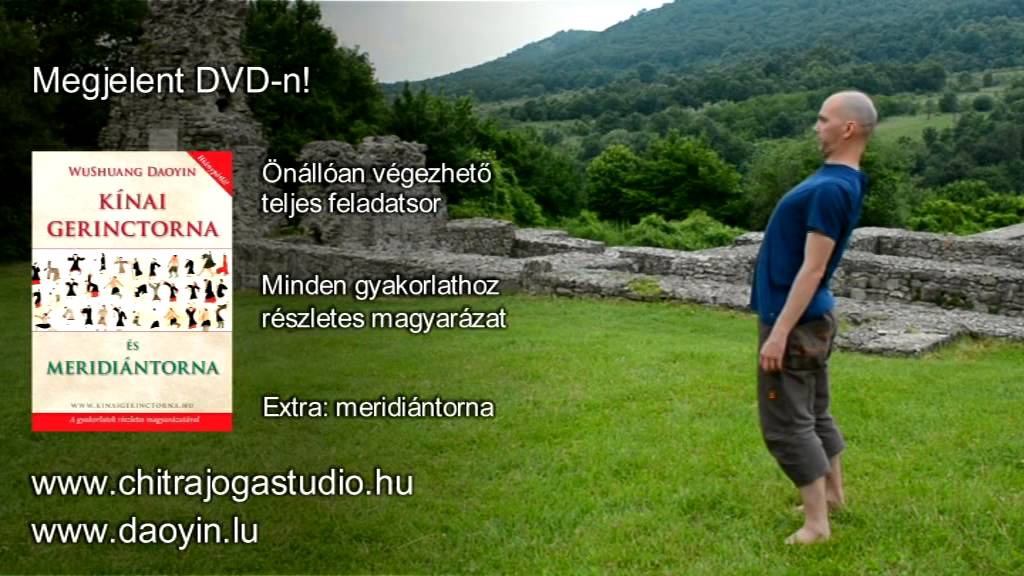 Wushuang Daoyin Kínai Gerinctorna és Meridiántorna