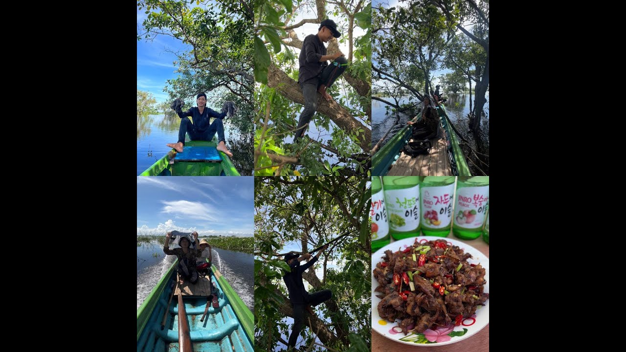 ចូលព្រៃ ប្រមាញ់ កណ្ដុរ យកមក លីង