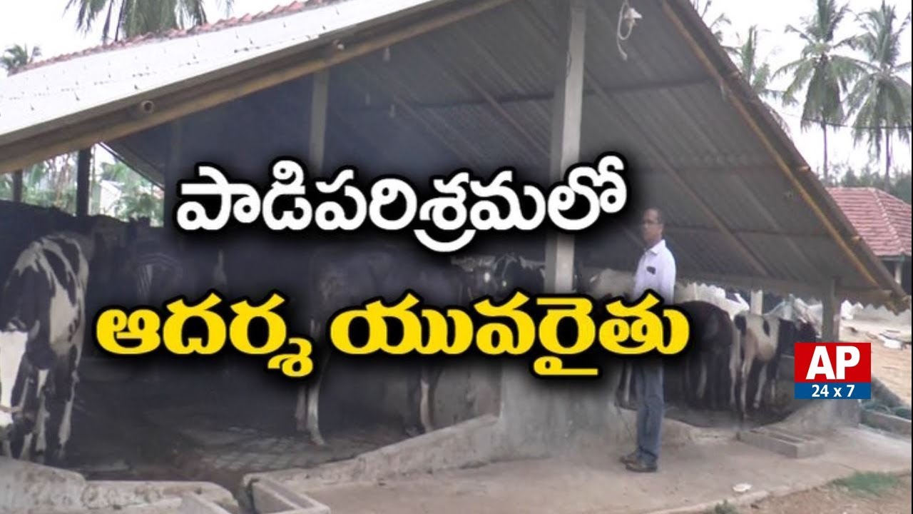 Success Story On Ideal Young Farmer Earn High Profits From Dairy Farming | Rythu Ratham | AP24x7