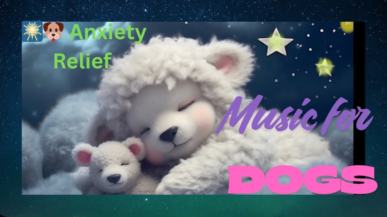 Soothing Dog Music for Fireworks Fear & Separation Anxiety .Relax&Sleep💤