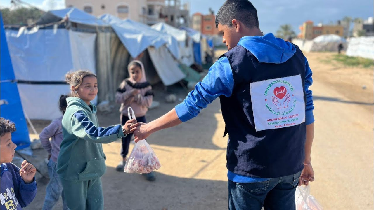 Gaza - Fresh Chicken Wings Distribution