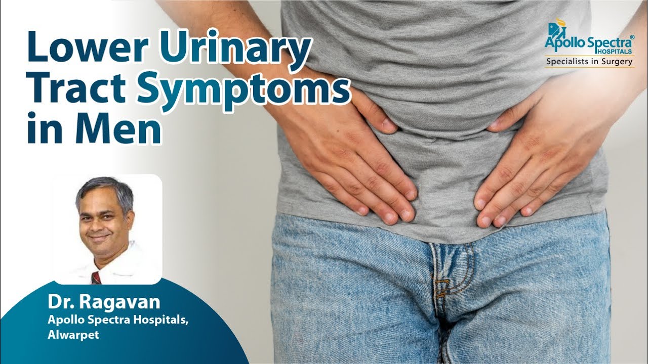 Lower Urinary Tract &ndash; Symptoms, Causes & Treatment