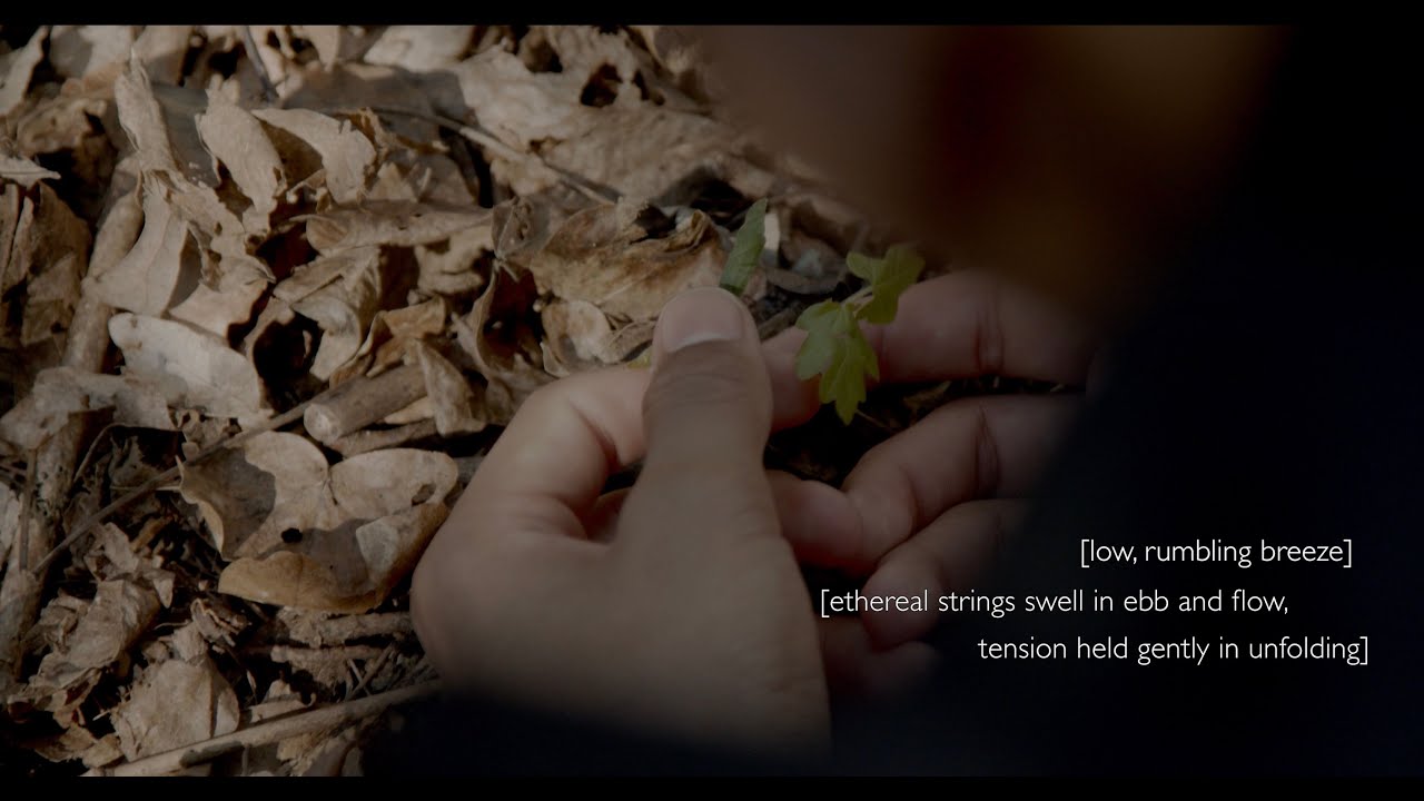 Drafts (2025) with AD Voiceover | Arts Catalyst
