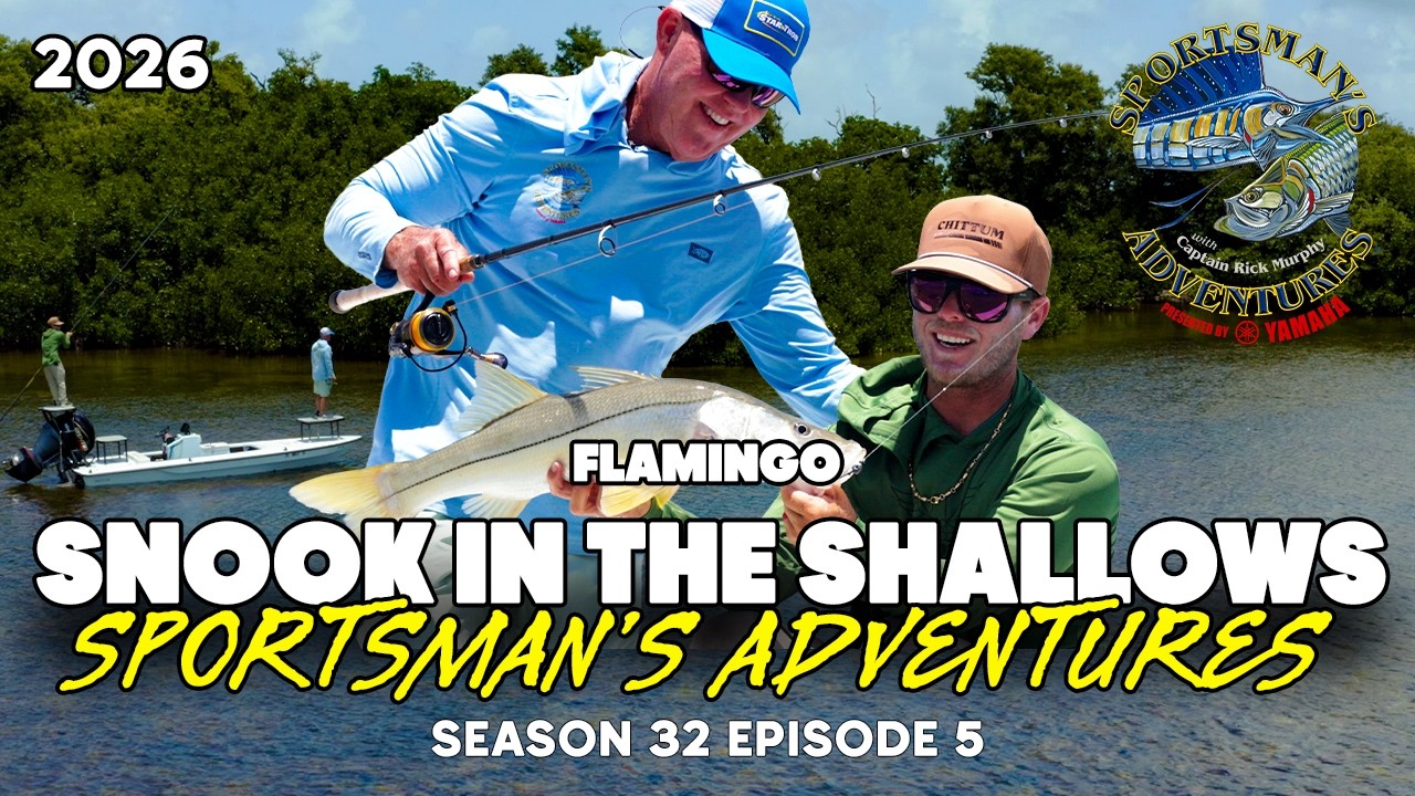 SUPER Shallow Water SNOOK Fishing in Everglades National Park