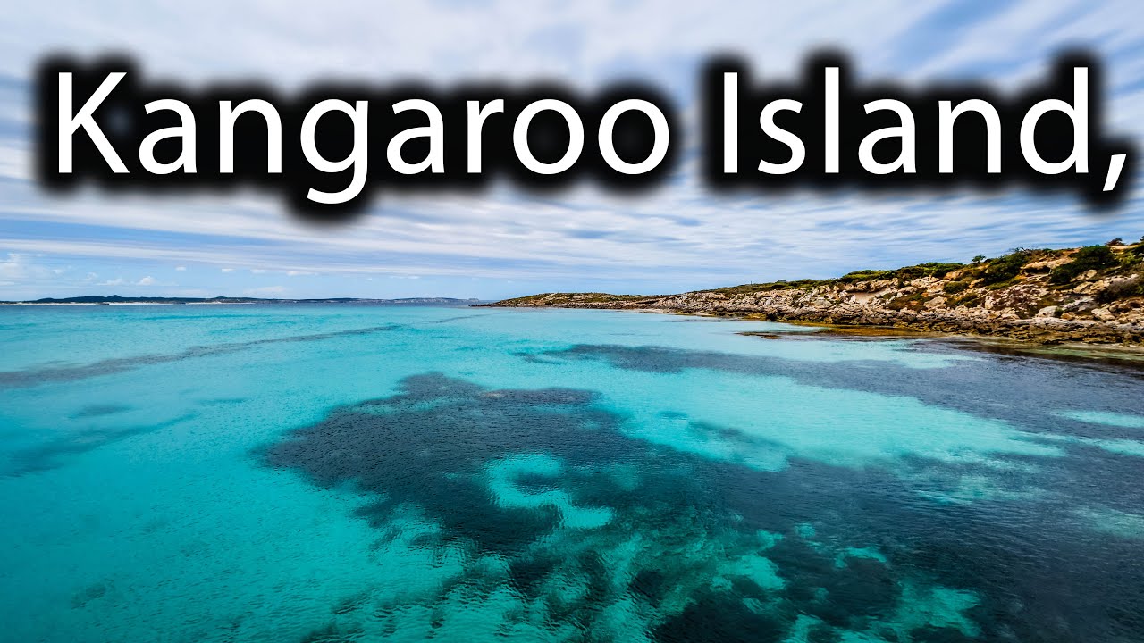 Kangaroo Island, Koalas, Seal Bay, Remarkable Rocks, Flinders Chase, Grey Nomads Australia EP-174