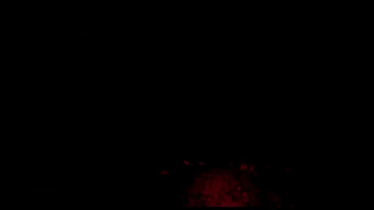 You can't out run a bear in DayZ