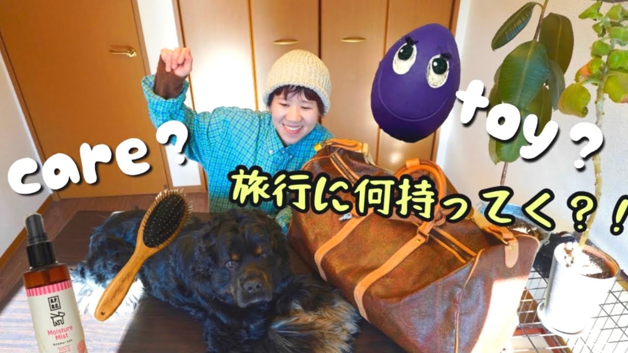 【パッキング】愛犬じゃっくと実家に帰省！何を詰める⁉️