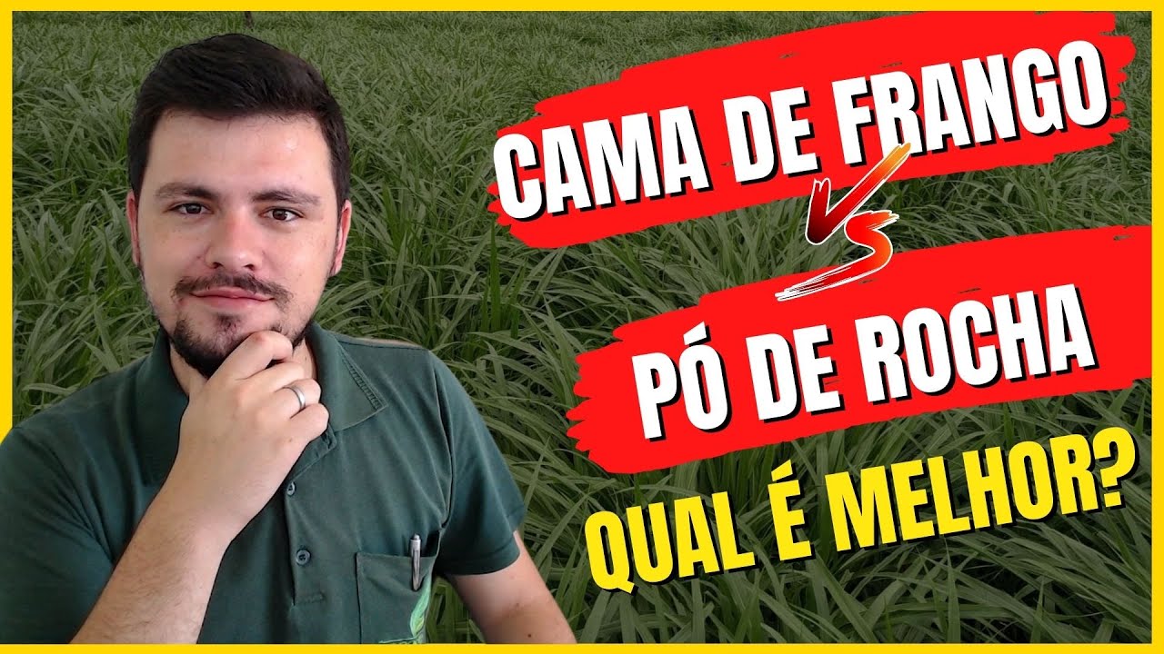 Cama de Frango ou Pó de Rocha? Qual é melhor?
