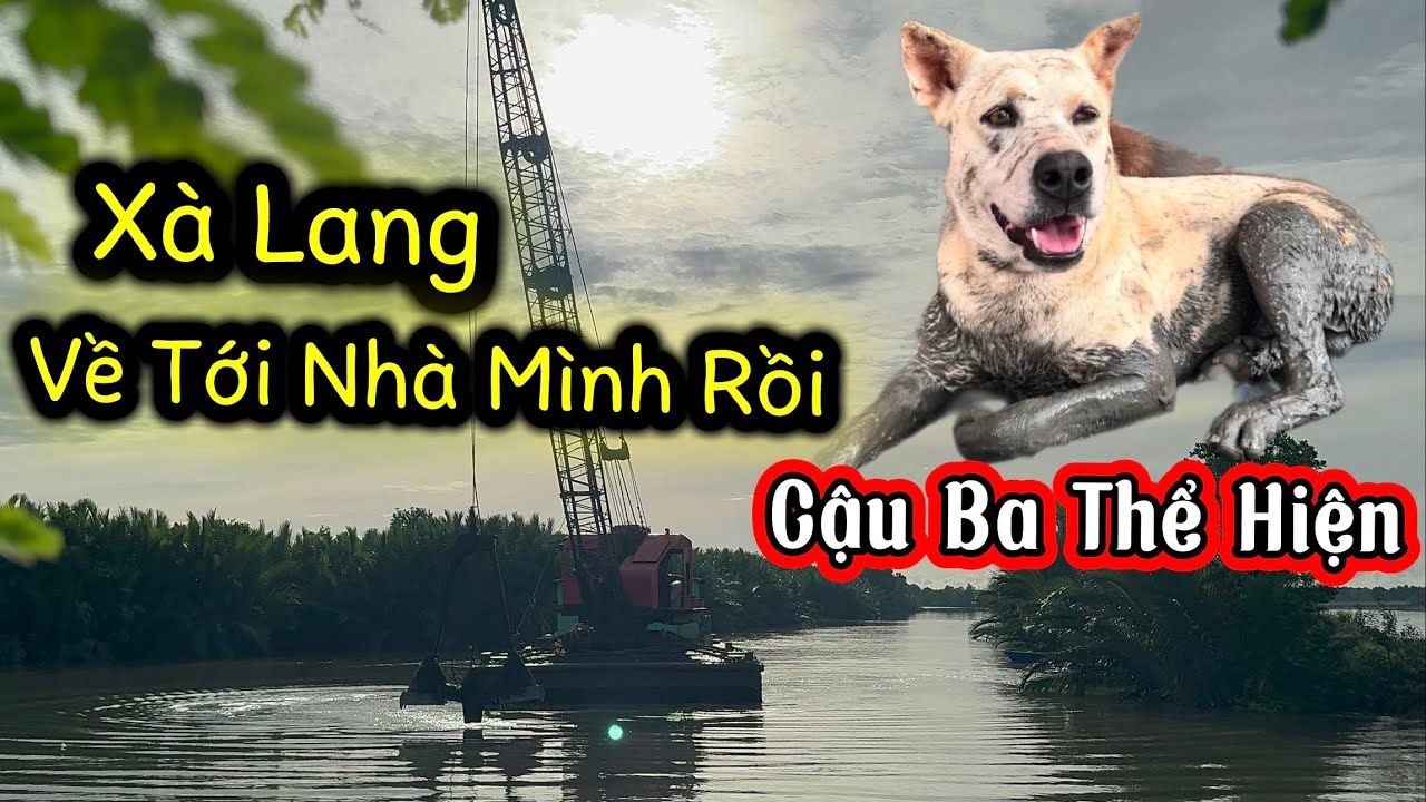 Cận Cảnh Xà Lang Cạp Trước Cửa Nhà - Nhúi Nhắng Đẹp Trai Ngầu Thể Hiện
