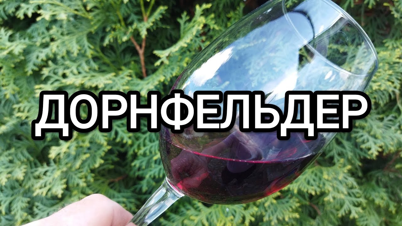 Вино сорту Дорнфельдер: дегустація та особливості