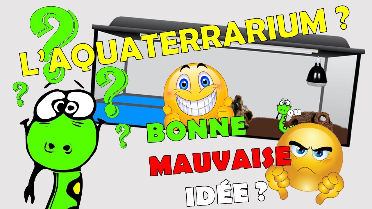 Un aquaterrarium pour vos thamnophis ? Bonne ou mauvaise idée ?