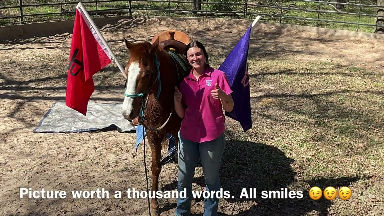 Gorgeous Fancy Sorrel Gelding Great Hubby Horse. Drill Team