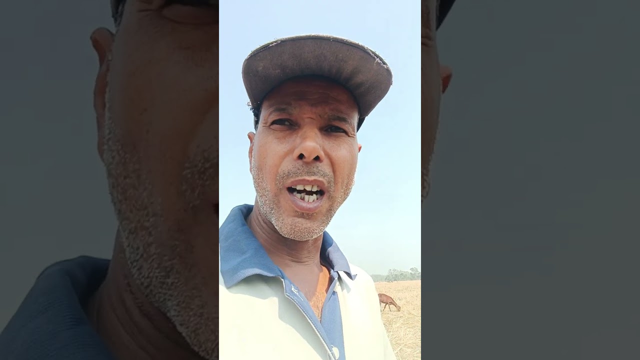 গাভিনী ছাগলীক পেলু ডৰৱ কেতিয়া দিব লাগে জানো আহক । আৰু দিলে কি কি লাভ হয় ।