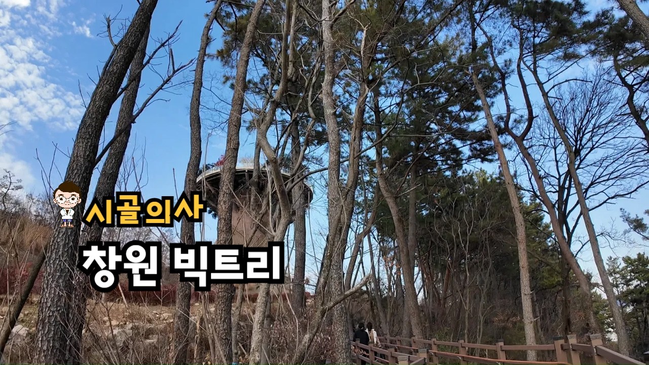 창원 가볼만한 곳 빅트리