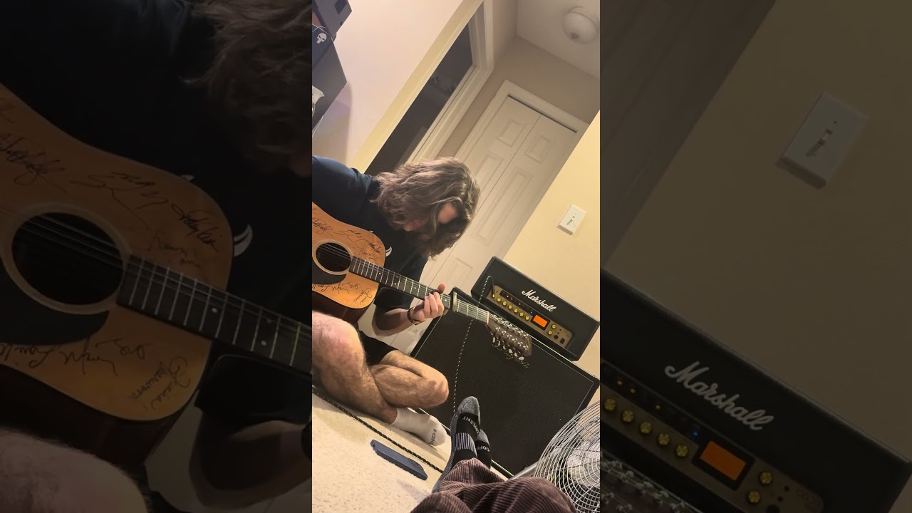 12 String Psych Blues￼ #blues #guitar #bluesguitarist #srv #music #shorts #musician #billystrings