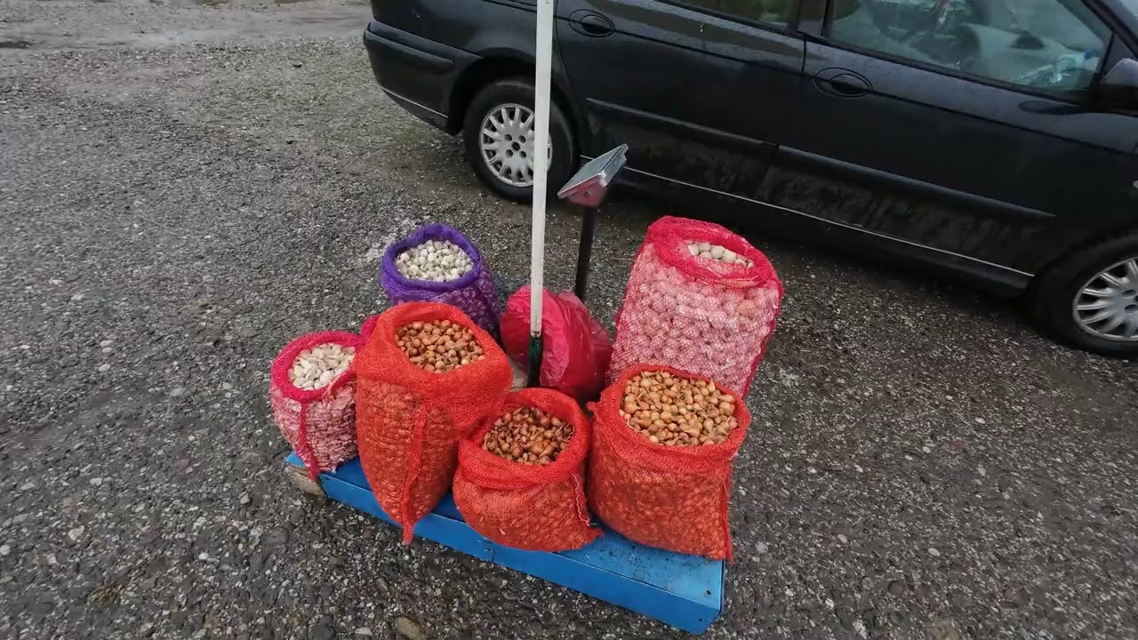 Pijačni dan u Šapcu 20 februar 2026