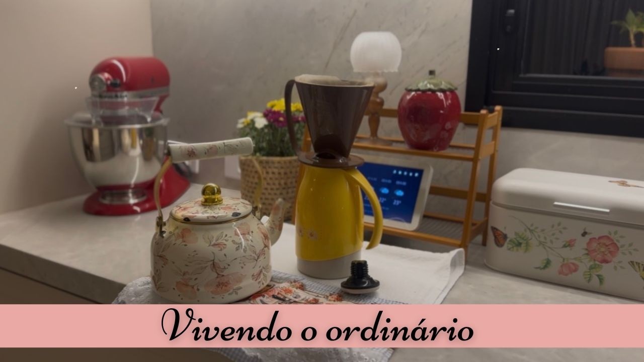 ORGANIZANDO PARA TER PAZ | AMO SER DONA DE CASA