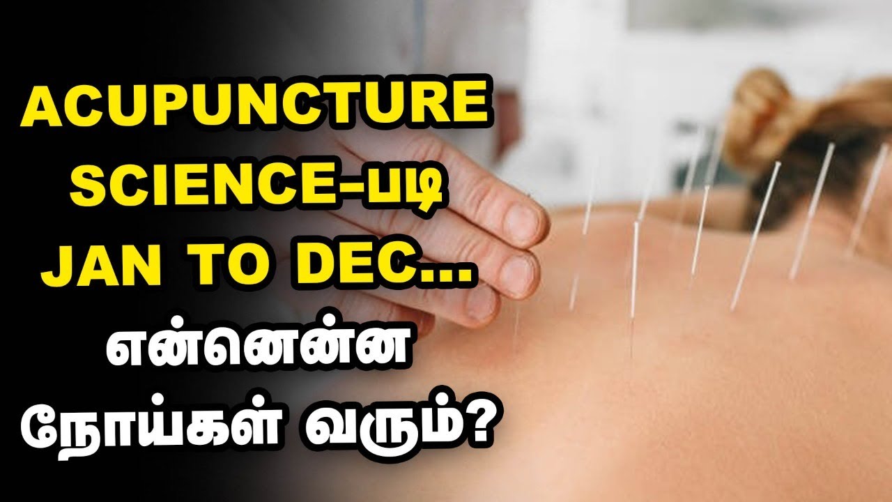 Acupuncture | 4 வகை மனிதர்கள், ஒவ்வொரு 3 மாத காலத்துக்கு வருகின்ற நோய்கள்? | Nalam 360 | Health tips