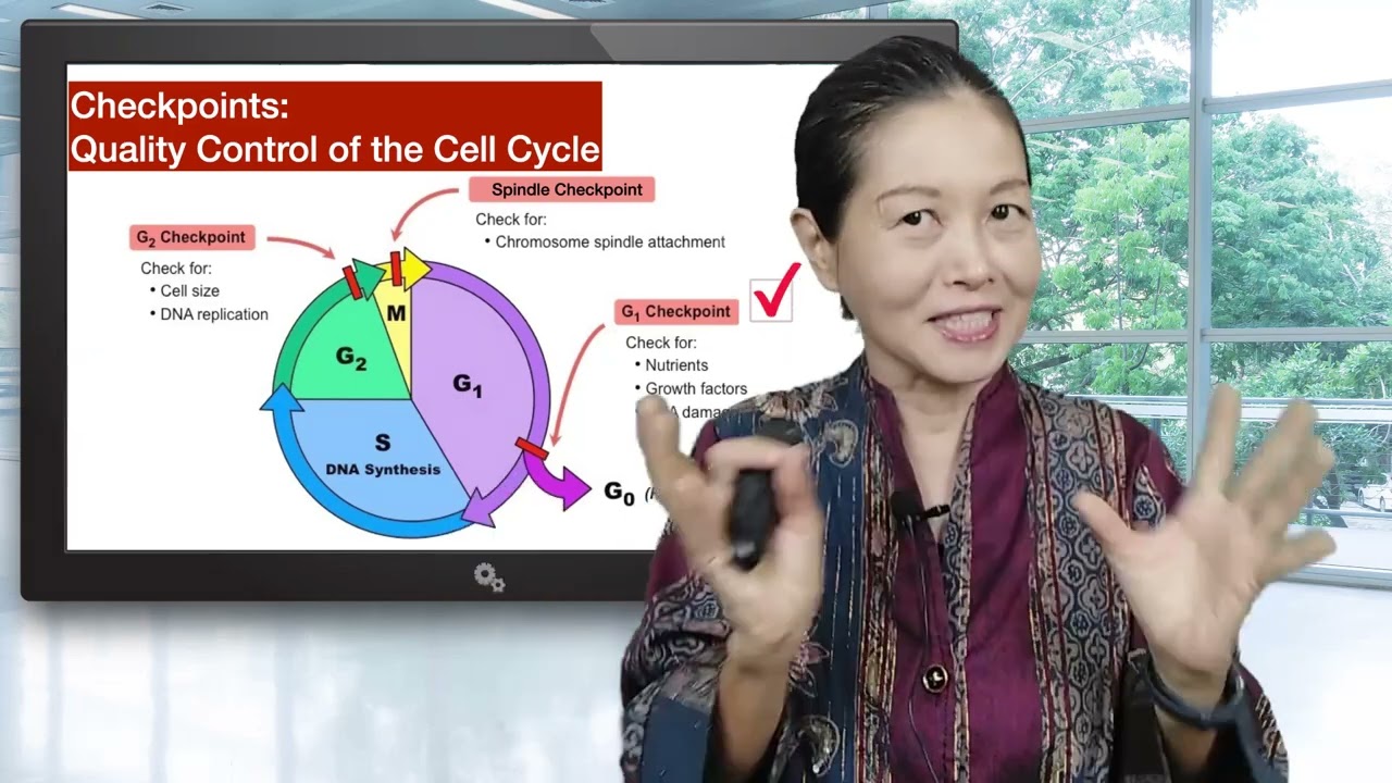 Gen p53 - menghentikan pertumbuhan sel kanker! | Dr. Evy Gondomulio