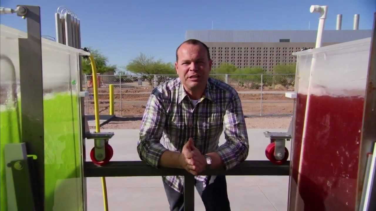 Algae Food and Fuel - America's Heartland
