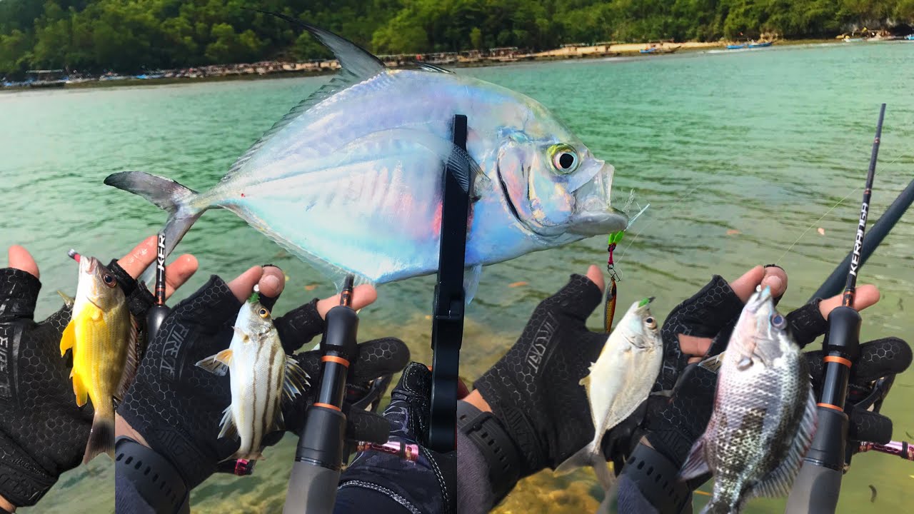 Mancing santai di pinggir pantai soge pacitan, full strike bermacam macam ikan #pantaiselatan #gt