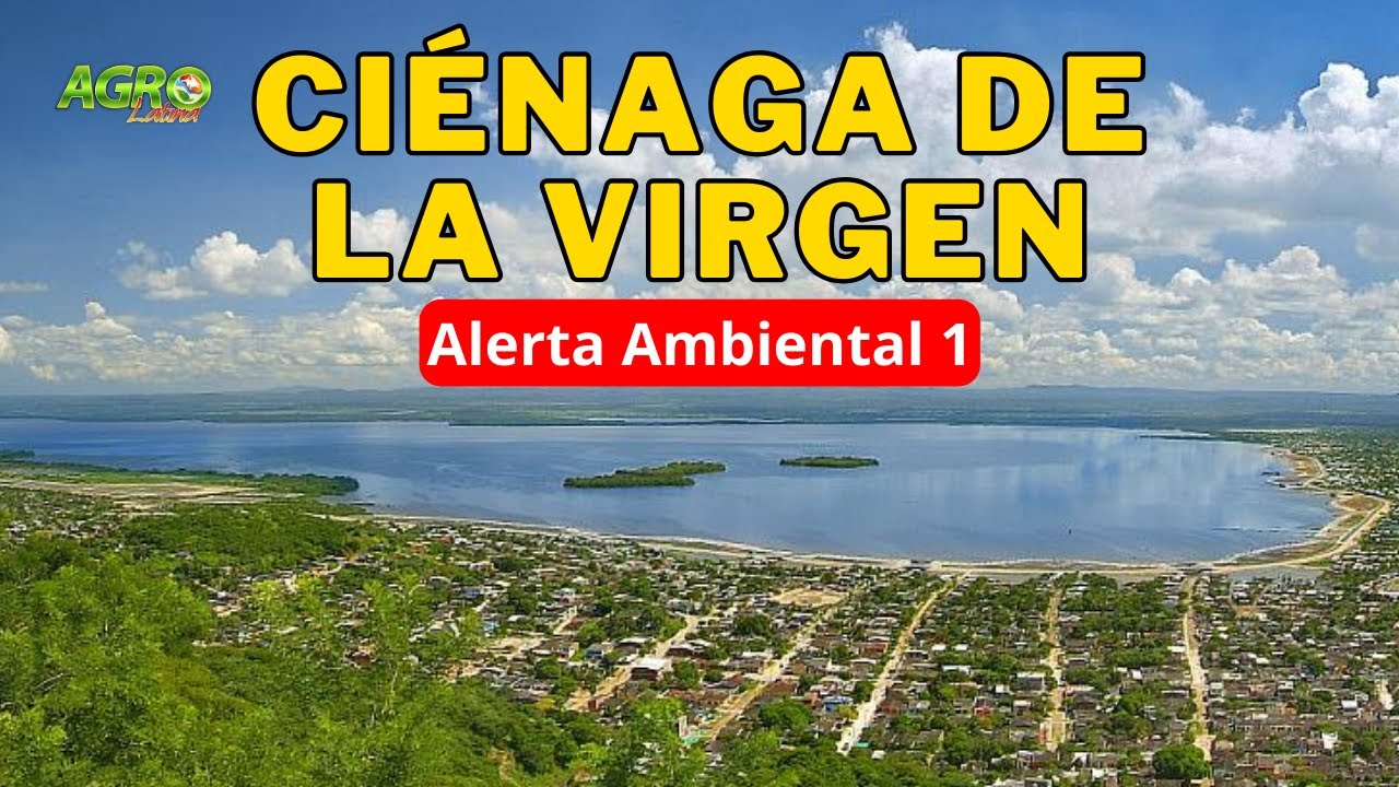 CIENAGA DE LA VIRGEN Alerta Ambiental