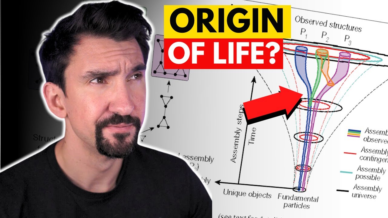 Может ли физика предсказать эволюцию? — Объяснение теории сборки
