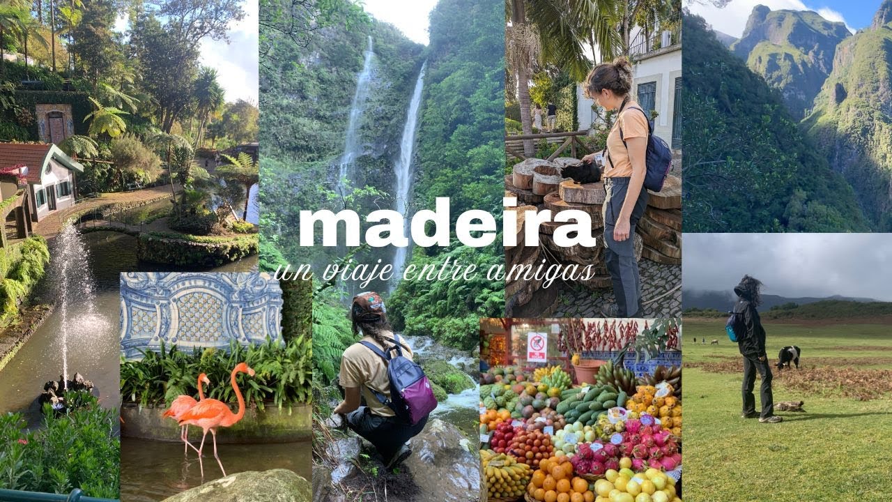 48h en madeira 🌸