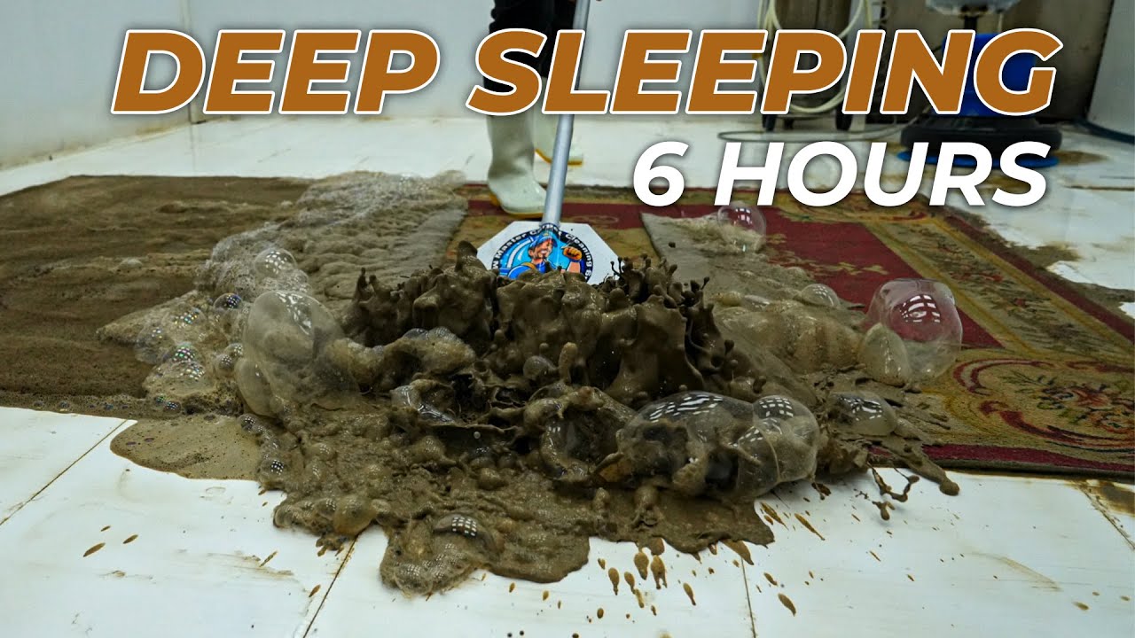 Drift into Deep Sleep with Carpet Cleaning Sounds – ASMR for Relaxation - Deep Sleeping