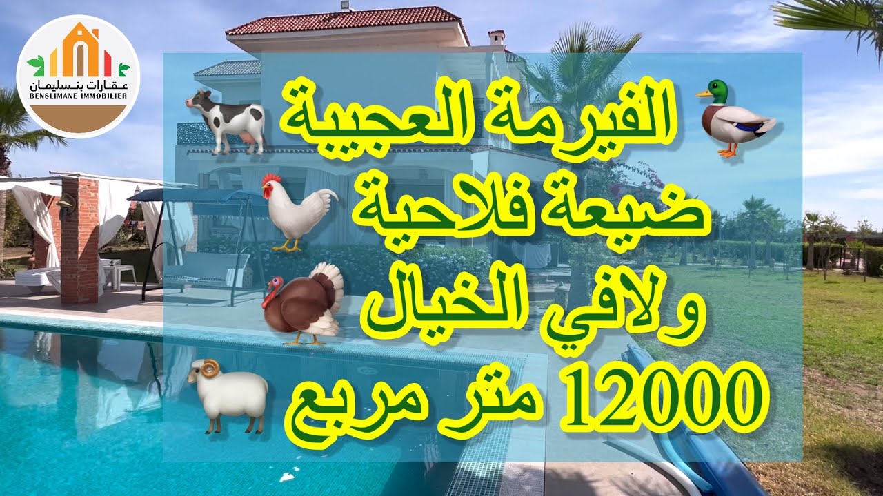 الفيرمة العجيبة/ضيعة فلاحية/12000 متر مربع،بنسليمان