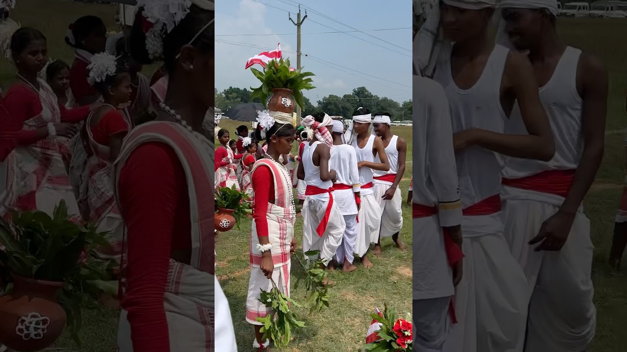 Karma puja 2024 | #karmapuja karma puja dance #aadivasi