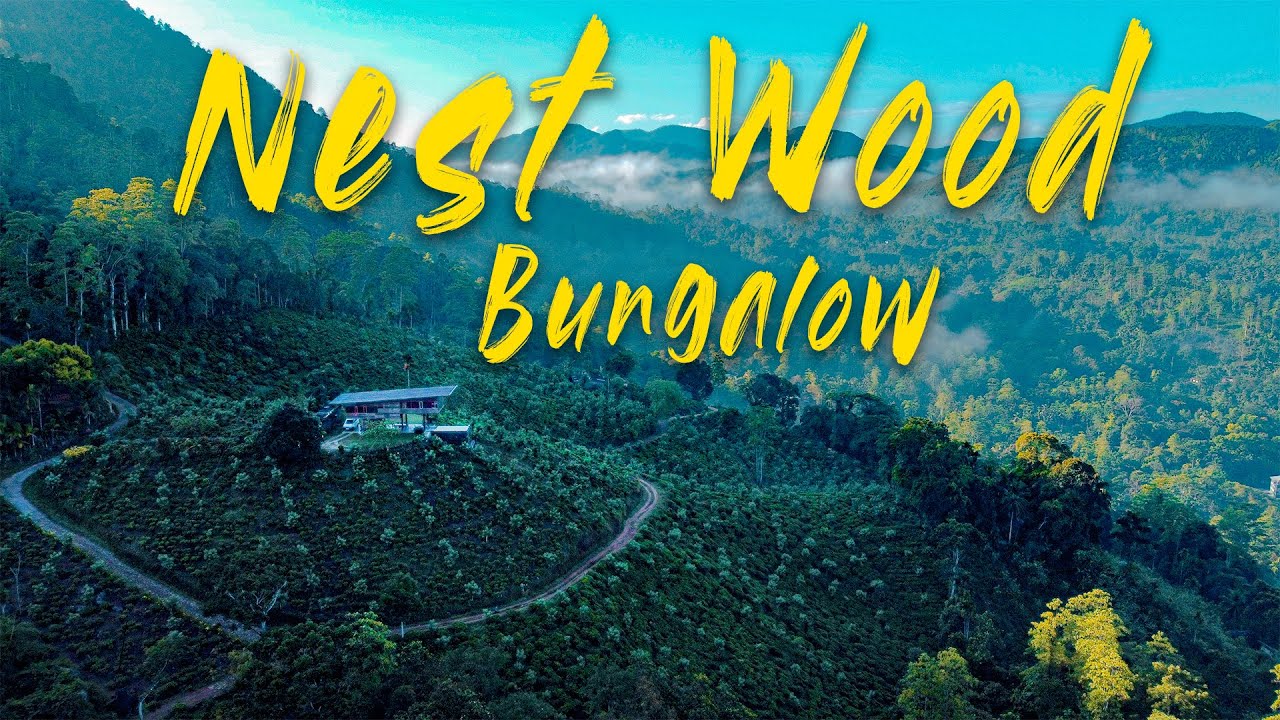 NEST WOOD BUNGALOW | KALAWANA |  සිංහරාජ අඩවියෙ සැගවුනු නිවහන |  𝗦𝗿𝗶 𝗟𝗮𝗻𝗸𝗮 | 𝗘𝗫𝗣𝗟𝗢𝗥𝗘 𝗪𝗜𝗧𝗛 𝗧𝗨𝗧𝗨