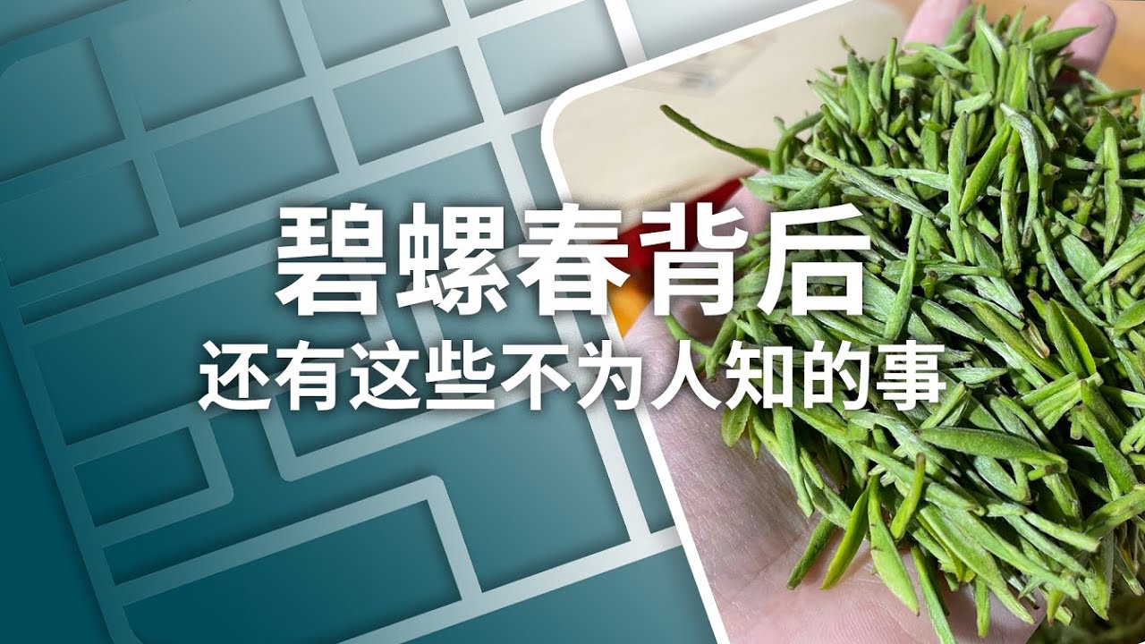 碧螺春是如何&ldquo;炼成&rdquo;的？| How to Make Biluochun Tea? | ENG SUB