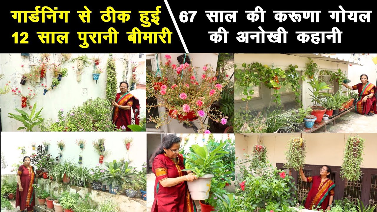 बुढ़ापे में लाठी छोड़ लिया गार्डनिंग का सहारा, 67 वर्षीय करुणा गोयल की अनोखी कहानी