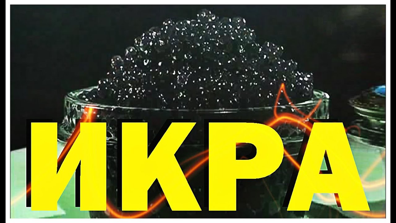 Галилео | Икра 🐟 [Caviar]