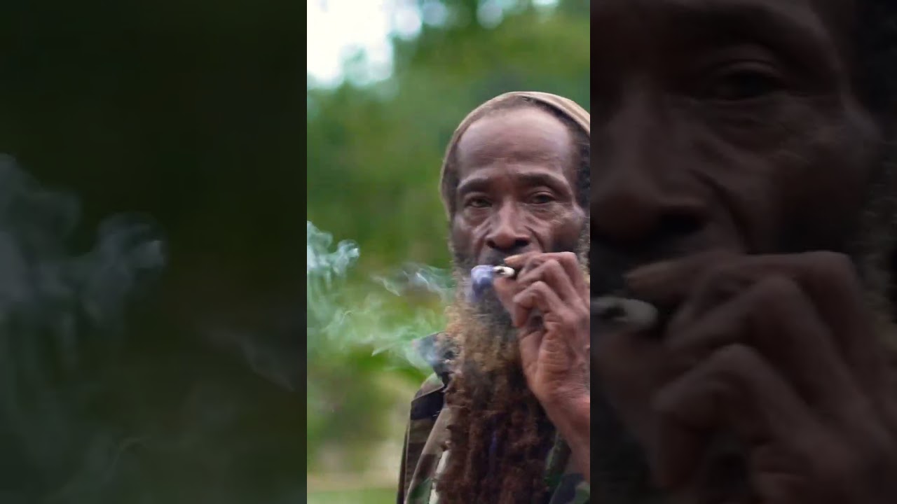 Would you share with this Rastafarian? #shorts #jamaica #rasta #rastafari #puff #ganja