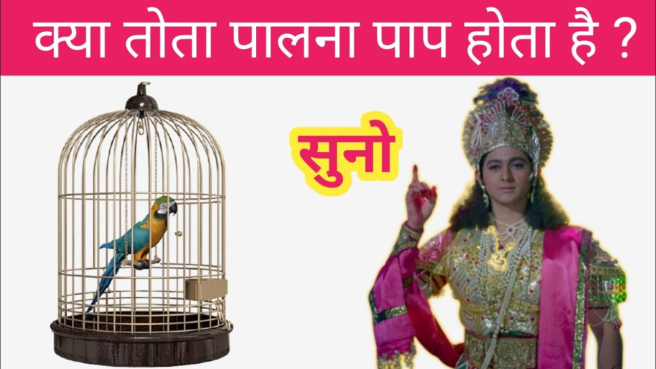 क्या तोता पालना पाप है ? || tota palna pap hota hai || krishna true line