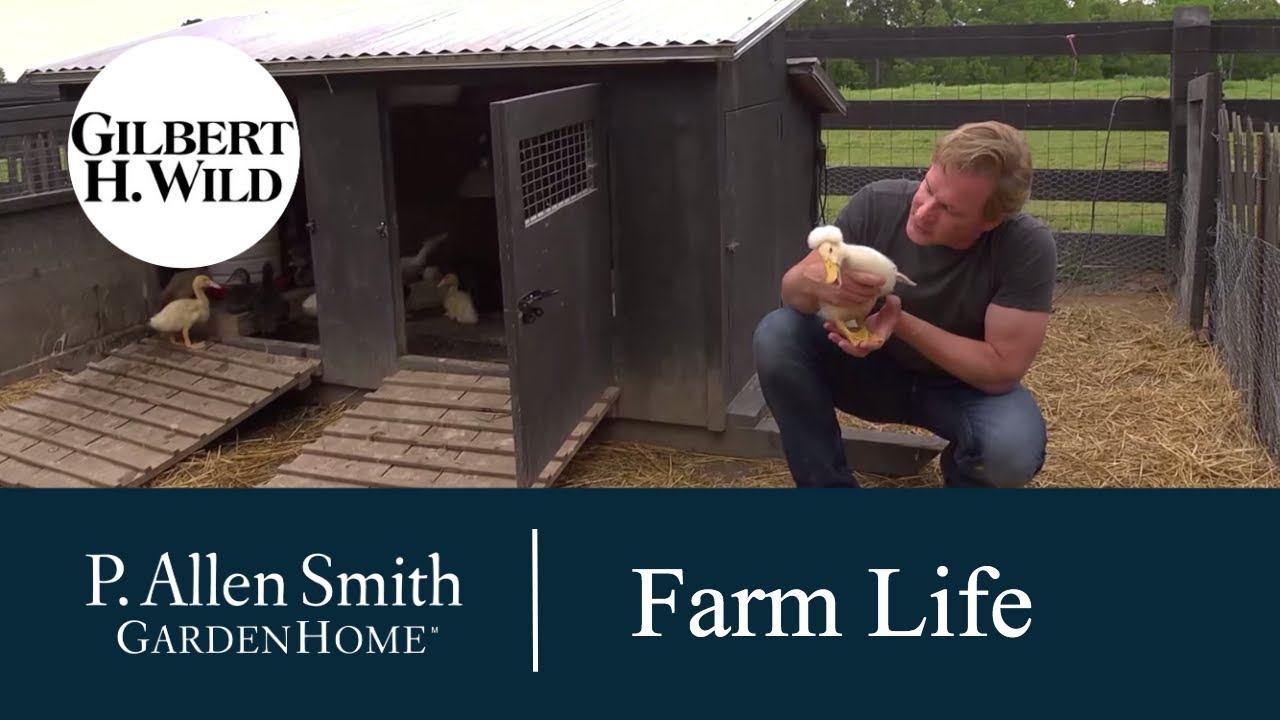A Slice of Farm Life| Garden Home (1609)