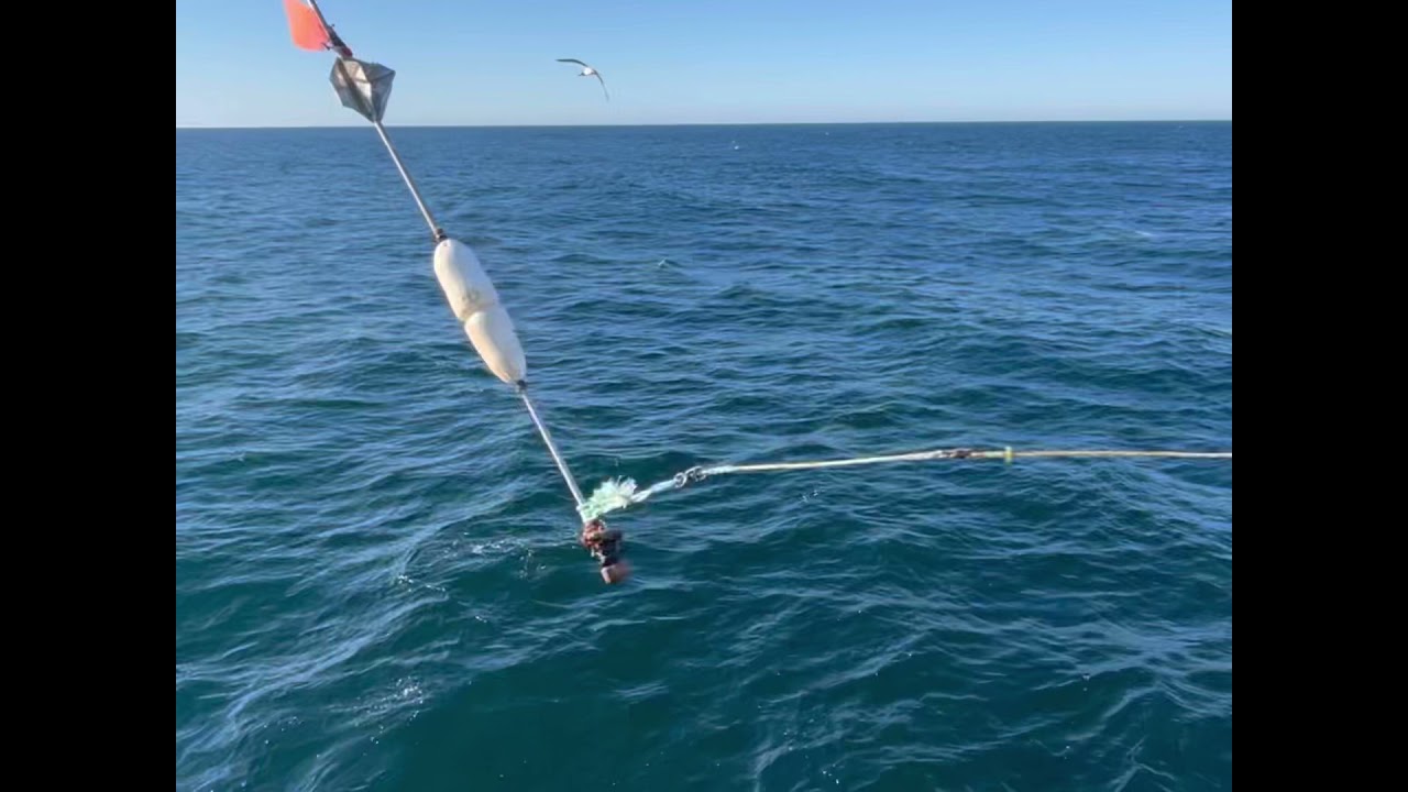 What it&rsquo;s like to catch slime eels on F/V North Cape